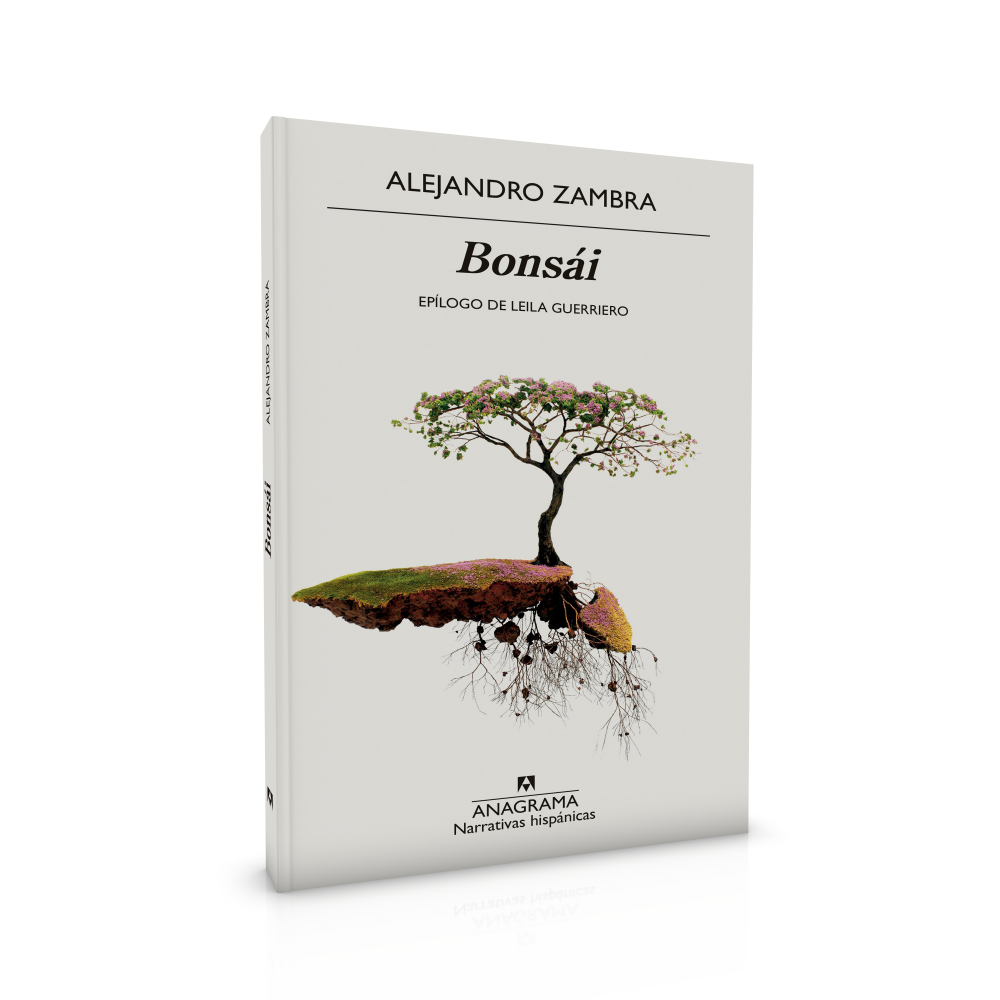 🌱 TALLER DE BONSÁI + EXPERIENCIA LITERARIA DE FIN DE AÑO (PRESENCIAL)