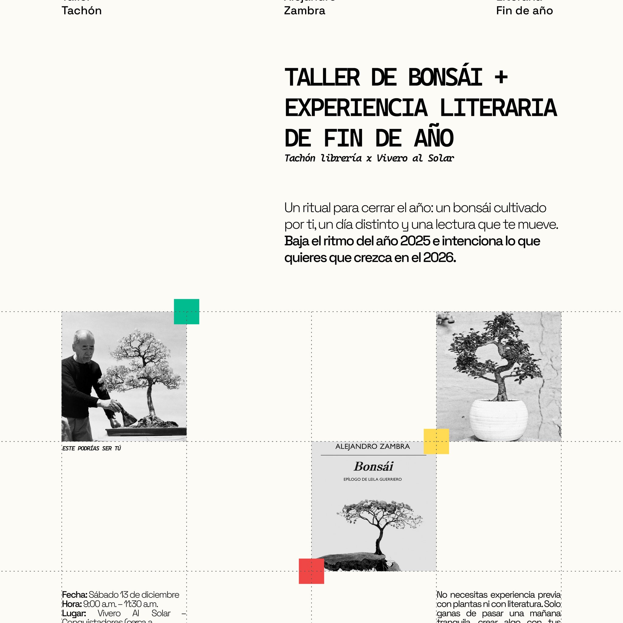 🌱 TALLER DE BONSÁI + EXPERIENCIA LITERARIA DE FIN DE AÑO (PRESENCIAL)