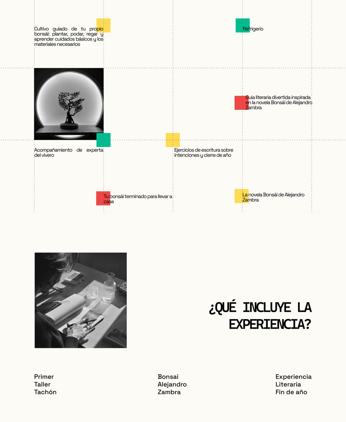 🌱 TALLER DE BONSÁI + EXPERIENCIA LITERARIA DE FIN DE AÑO (PRESENCIAL)