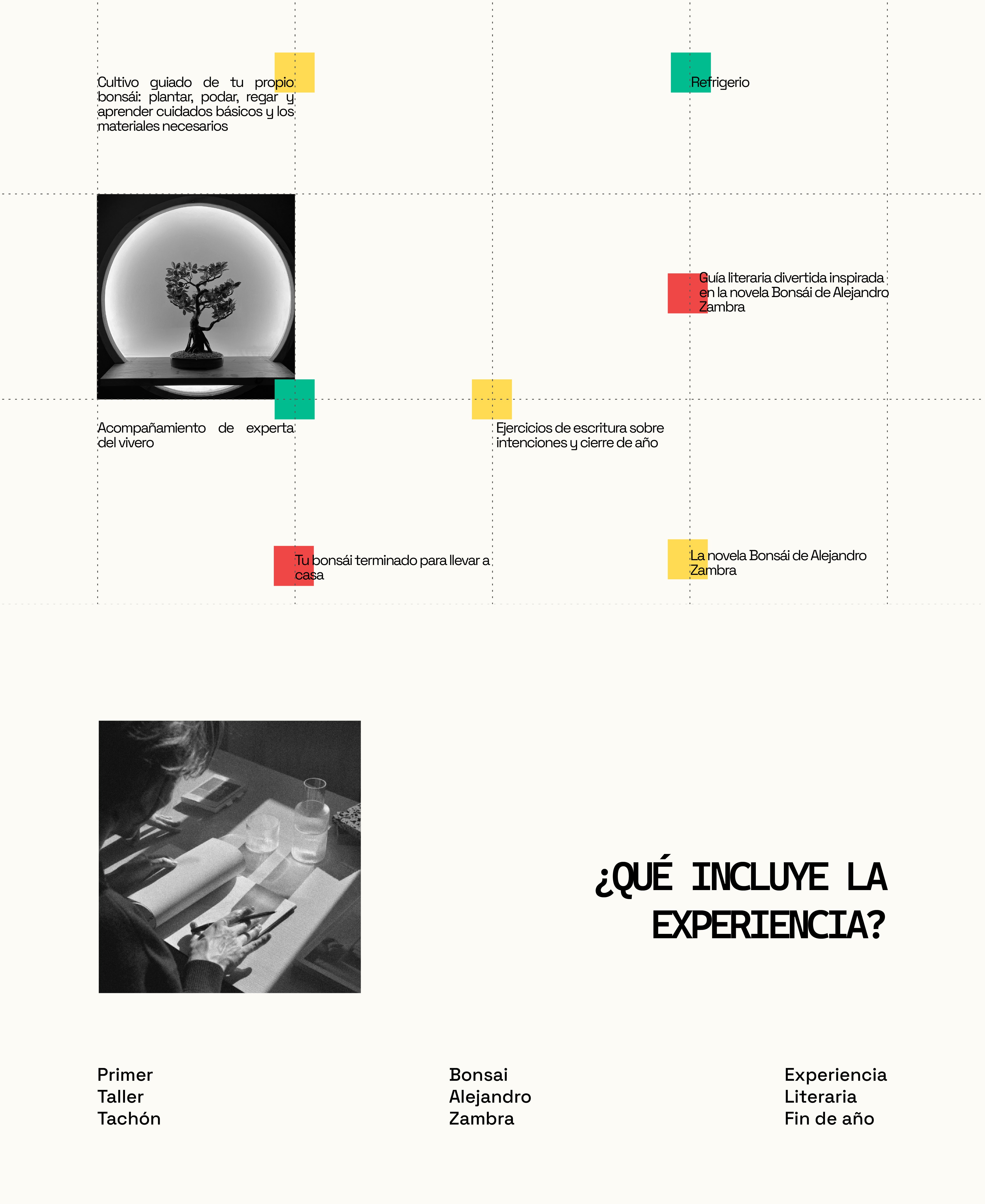 🌱 TALLER DE BONSÁI + EXPERIENCIA LITERARIA DE FIN DE AÑO (PRESENCIAL)
