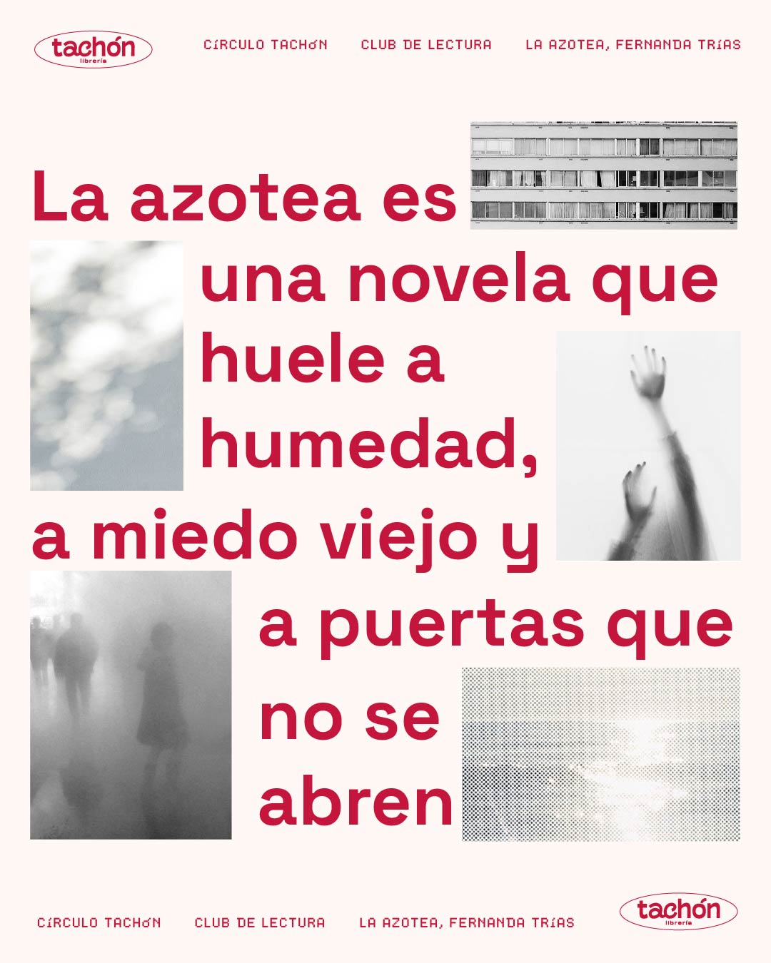Círculo TACHÓN - La azotea de Fernanda Trías