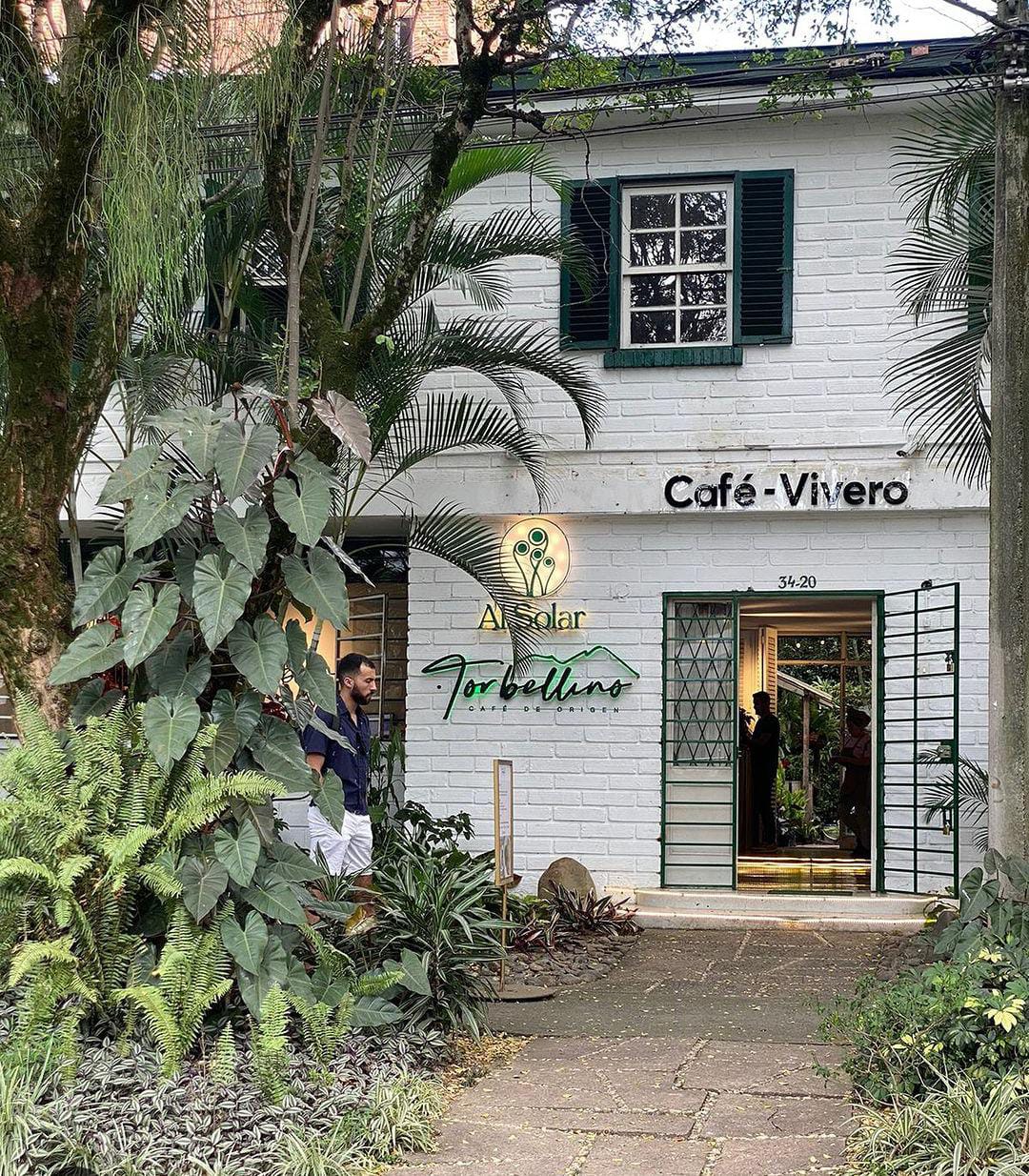 🌱 TALLER DE BONSÁI + EXPERIENCIA LITERARIA DE FIN DE AÑO (PRESENCIAL)